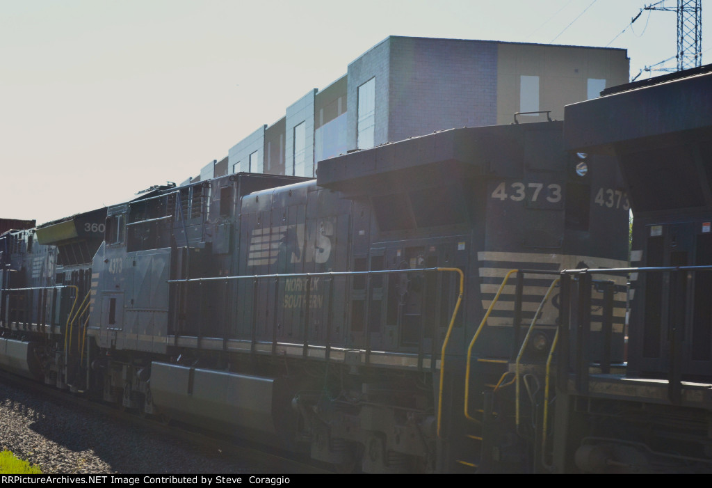   "NS 4373-Close Up" 